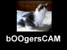 bOOgersCAM